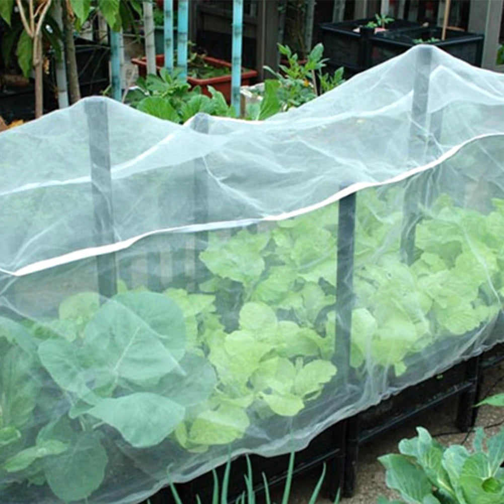 60 Mesh Greenhouse Pest Control Agricultural Pest Control Net Anti-bird Bird Net Multi-Scena Applification for Garden Fruit Care