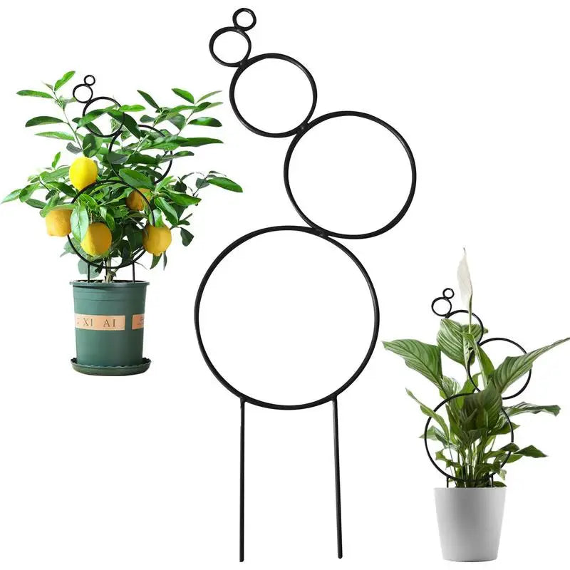 Small Metal Trellis For Indoor Potted Plants